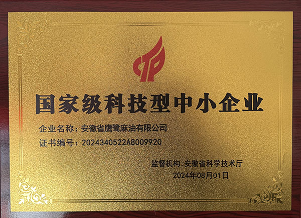 合肥國 家級科技型中小企業(yè)
